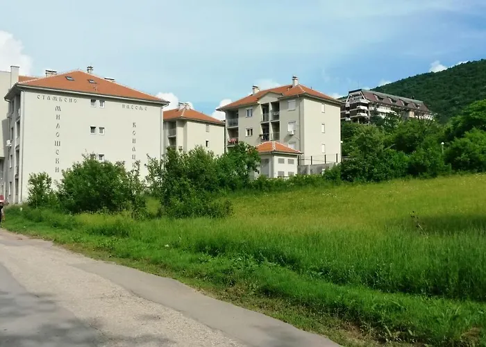 Apartament La Casa Sokobanja